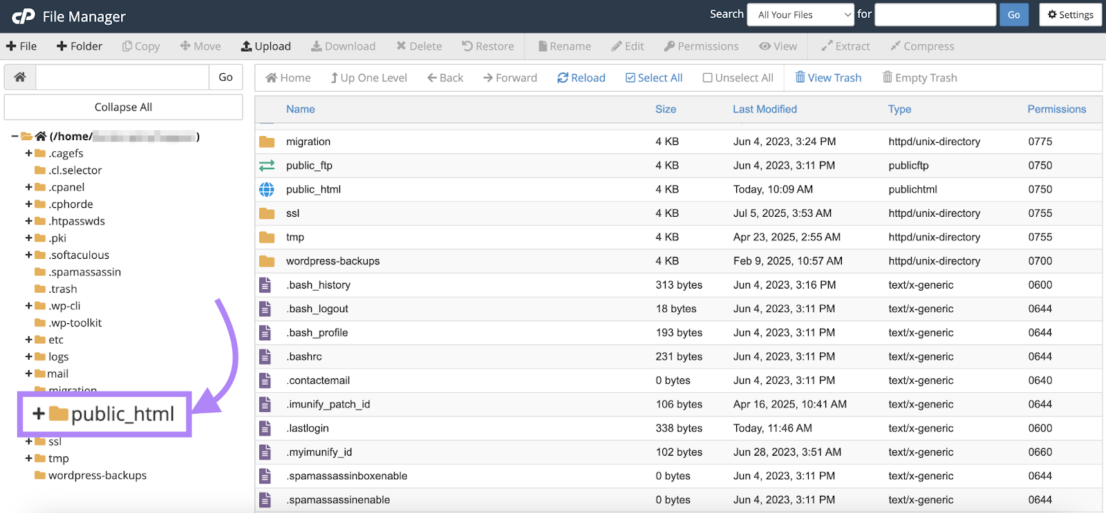 The public_html folder is highlighted.