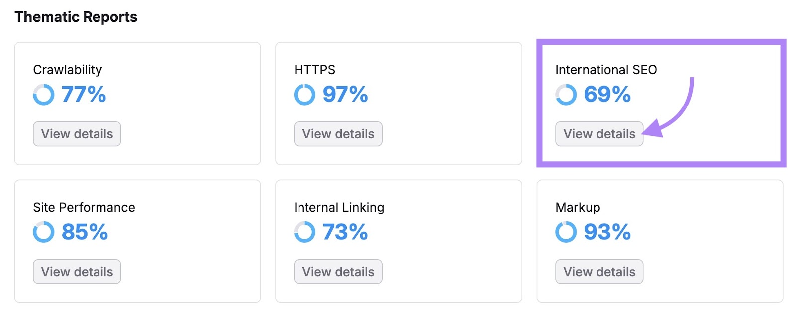 Thematic Report on Site Audit with "View details" under "International SEO" clicked.
